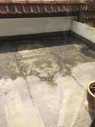 Rosyth Terrace (D19), Terrace #142366152